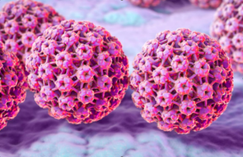 HPV